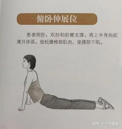 不同体位时所锻炼的侧重点也有所不同,俯卧位时,腰椎,背部肌肉等在