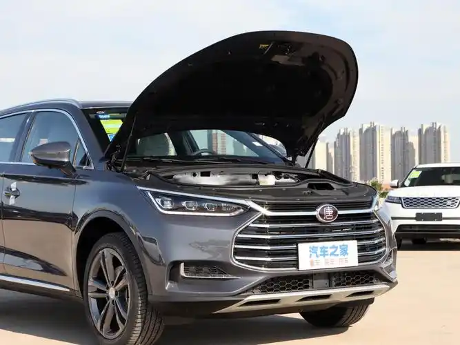 比亚迪 唐 2021款 2.0t 自动旗舰型