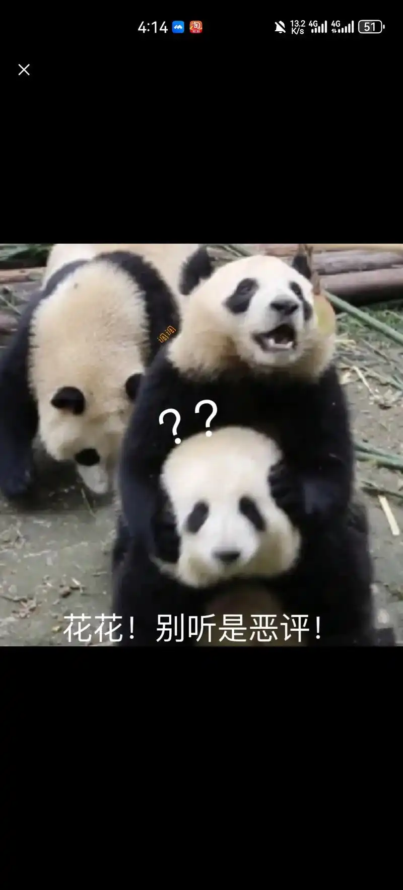 花花表情包.#大熊猫和花 #熊猫花花 #熊猫果赖 #花花 # - 抖音