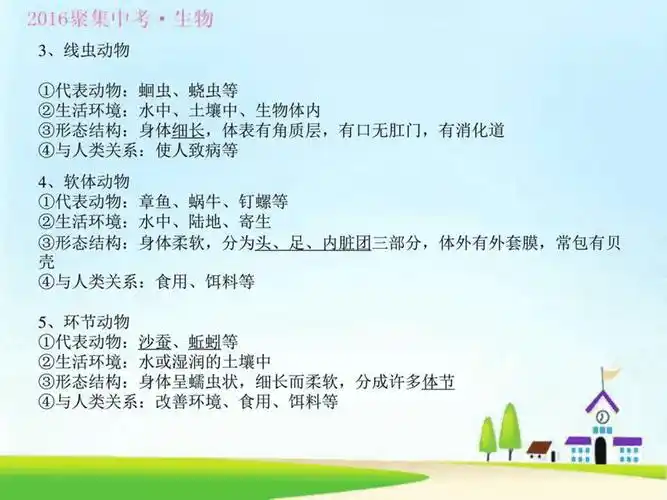 动物的主要特征ppt课件ppt