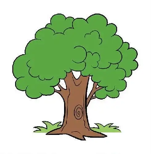 枝繁叶茂的大树简笔画
