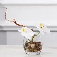 精美玻璃杯插花头像【点击鼠标右键下载】