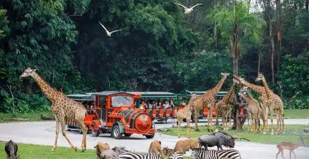 广东富豪苏志刚:靠2个游乐园赚千亿资产,为运动物包