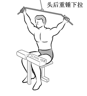 背部基础锻炼动作 (背阔肌)