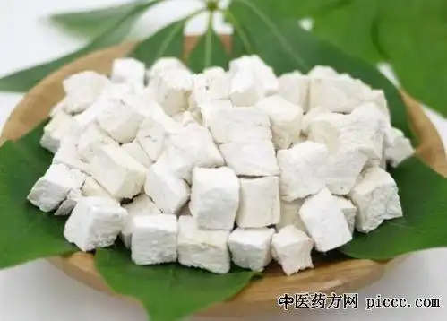 葛根 本草性能解