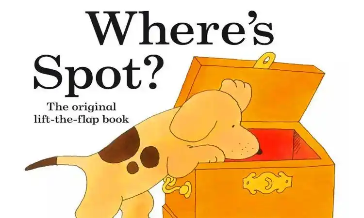 where是什么意思中文优质