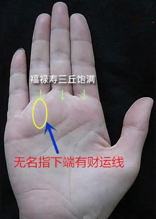 手相中能发大财的手,意外之财也可以致富,中彩票也算!