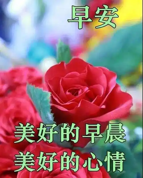 星期四朋友圈早安文字问候语图片集锦2022早上好温馨的早安祝福语句