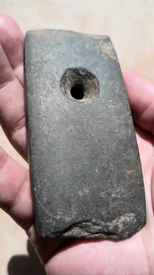 红山文化石斧标本