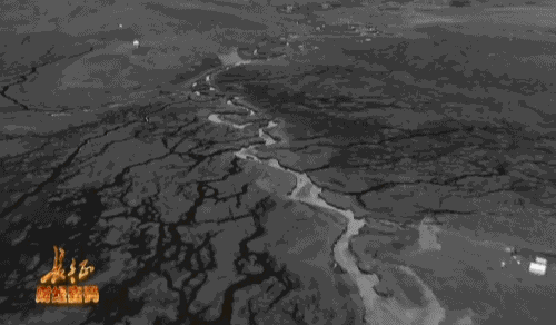 500_292gif 动态图 动图