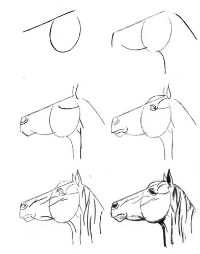 一图展示马的画法