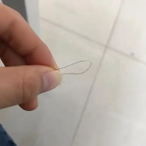 一根头发可以分叉成什么样