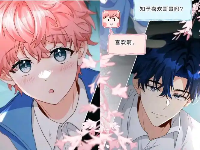 信息素说我们不可能 但洛知予肖彦有无限种可能