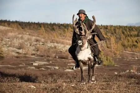 驯鹿骑图片-驯鹿骑素材-驯鹿骑插画-摄图新视界