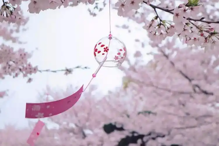 为什么别人好看又高级的照片你永远拍不到