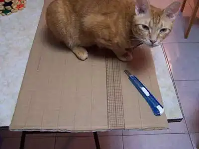 组图:利用废料做猫抓板