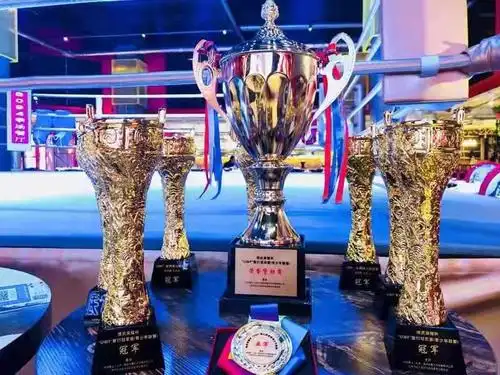 师承不同训练体系流派,赛前均对总冠军奖杯志在必得,介于四位搏击才俊