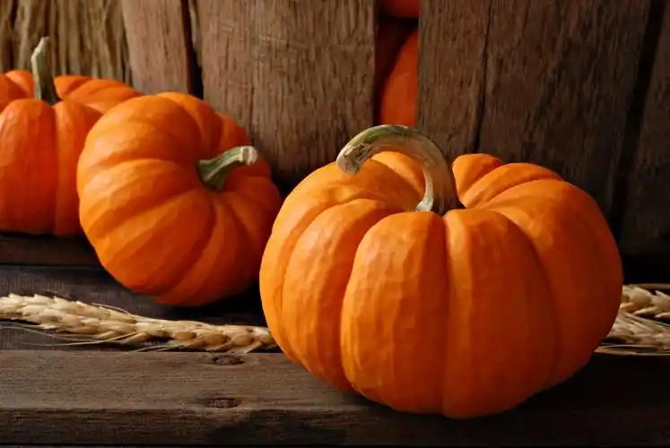 放在木板上的南瓜图片,高清图片