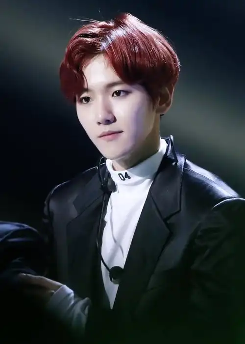 161101 sbs power fm 二十周年演唱会边伯贤