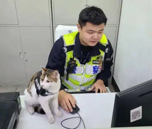 羡慕一出生就是公务员编制的警察