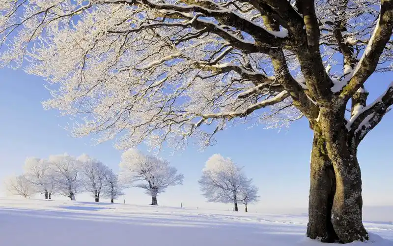 白雪皑皑的山川树河流等雪景图片素材1(20p)[photoshop资源网|ps教程