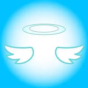 天使的翅膀卡通图标照片