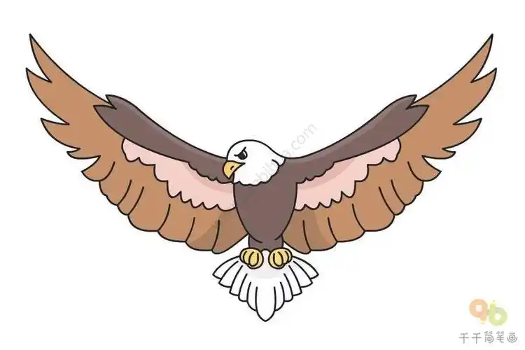 风筝的简笔画小动物老鹰 简笔画图片大全-蒲城教育文学网