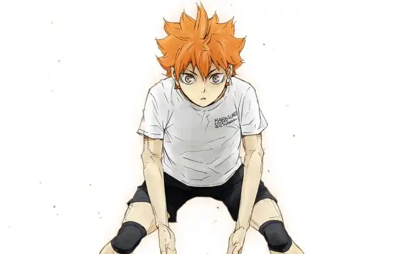 排球少年日向翔阳最温暖的小太阳生日快乐