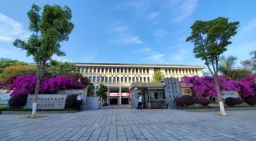 师大附小樱花语校区_校园风貌_学校概况_云南师范大学附属小学