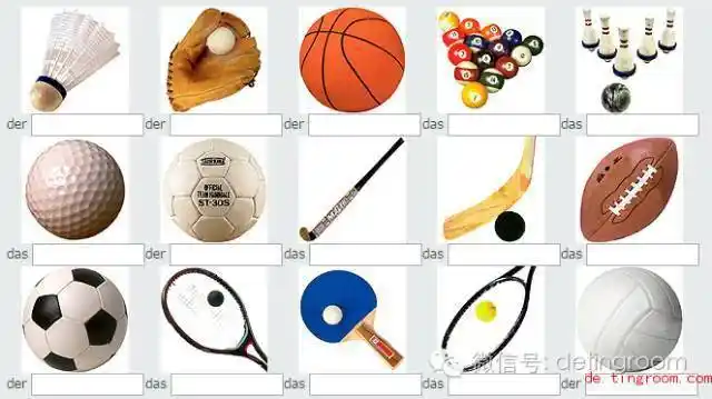 德语词汇练习:球类运动_das