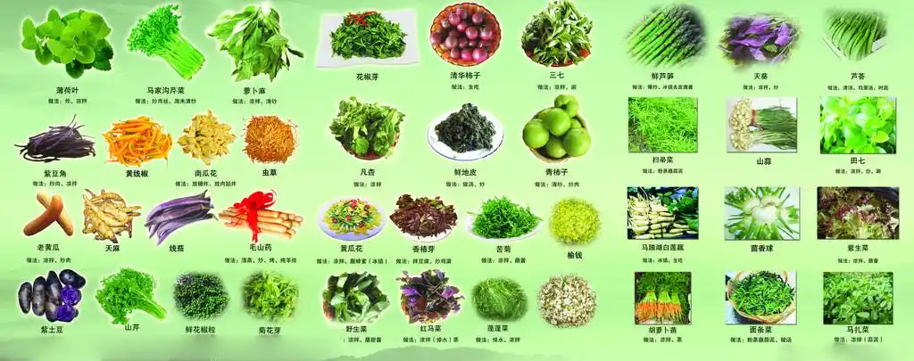 配送系统蔬菜名称参考大全