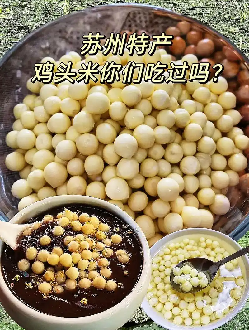 苏州特产#鸡头米 因果实尖端凸起像鸡头米而得此名!也叫芡实, - 抖音