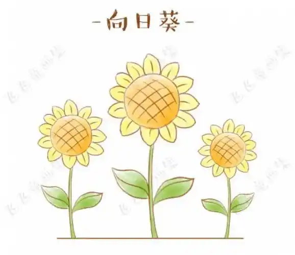 简笔画向日葵 简笔画向日葵彩色