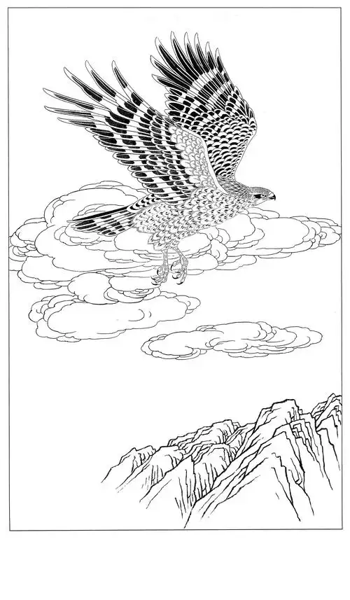 书画家艺术网站工笔画素材《鹰白描图》0034工笔画素材《鹰白描图》()