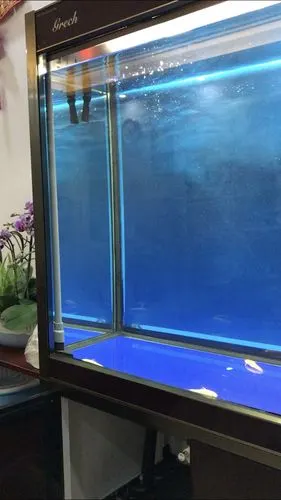 改造垃圾的森森鱼缸不合理的出水口