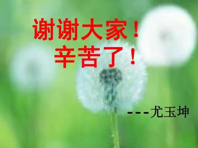 谢谢大家! 辛苦了! ---尤玉坤