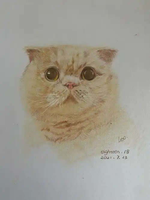 彩铅小猫咪约稿啦