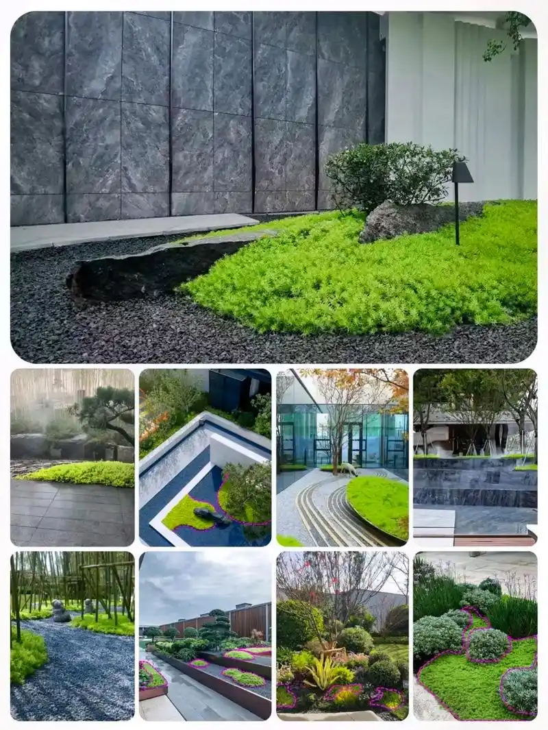 草坪.辽冀园林 打造专属您的绿色空间 #园林景观 #植物造景 - 抖音