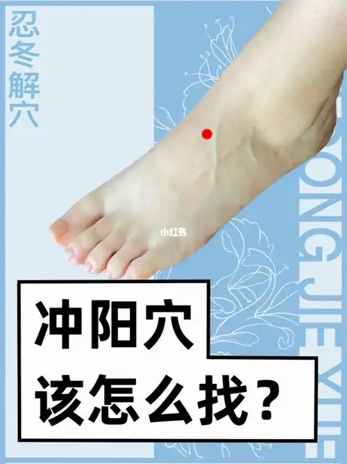 冲阳穴该怎么找