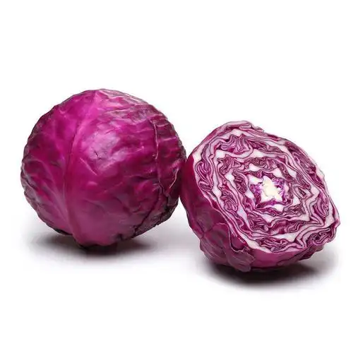 新鲜紫甘蓝沙拉菜包心菜紫椰菜 农家现摘圆白菜卷心菜1斤5斤10斤