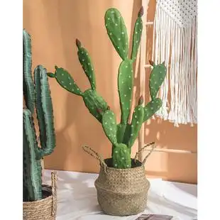 饰 大型仿真仙人掌摆件北欧植物家居室内假绿植盆栽仙人柱ins风装