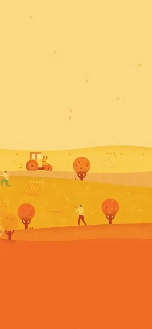 壁纸丨 活力橙色系壁纸