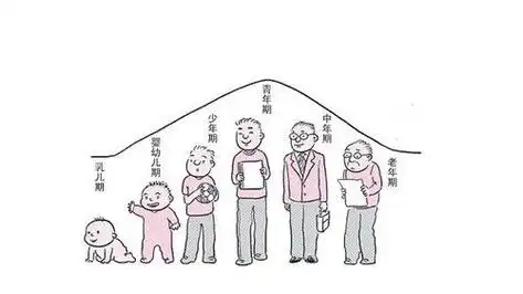 人的一生简笔画六格 简笔画图片大全-蒲城教育文学网