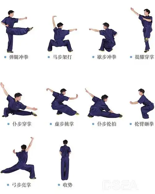 武术项目体育教育培训机构星级评定,等级标准及管理办法解读