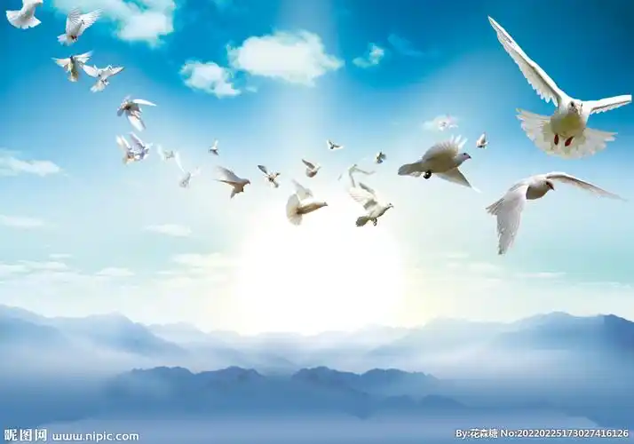 鸽子飞翔蓝天背景图