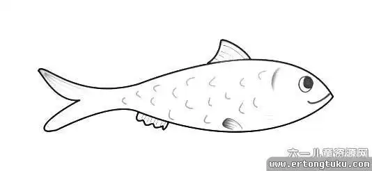 儿童简笔画安康鱼