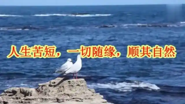 人生苦短,一切随缘,顺其自然