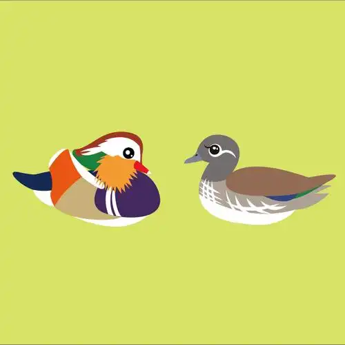 北京城区冬季鸳鸯科学调查信息征集