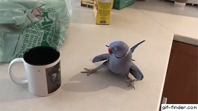 大家还是喜欢胸大的妹子真让人头大的爆笑动态图