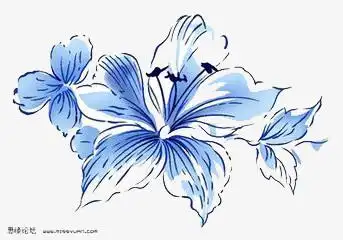 240 像素授权方式: 不可商用i分享者:伢子乀手绘线条花手绘彼岸花手绘